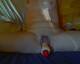Con dildo in fica!