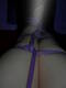 legami