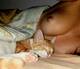 gattino curioso