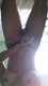 Private Photo of TATTOOGIRL