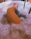 Feet