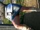 gambe1