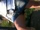 che gambe