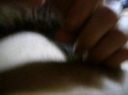 pompino